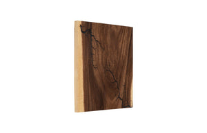 Phillips Collection Lightning Wall Tile - Unique Chamcha Wood Art With Natural Veining For Contemporary Spaces Brown Wood ,Chamcha Wood Th97693