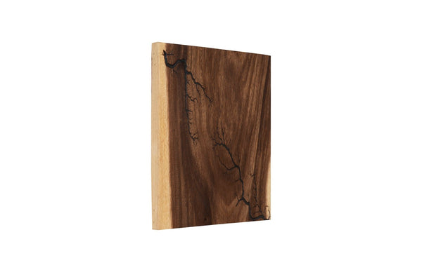 Phillips Collection Lightning Wall Tile - Unique Chamcha Wood Art With Natural Veining For Contemporary Spaces Brown Wood ,Chamcha Wood Th97693