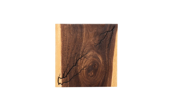 Phillips Collection Lightning Wall Tile - Unique Chamcha Wood Art With Natural Veining For Contemporary Spaces Brown Wood ,Chamcha Wood Th97693