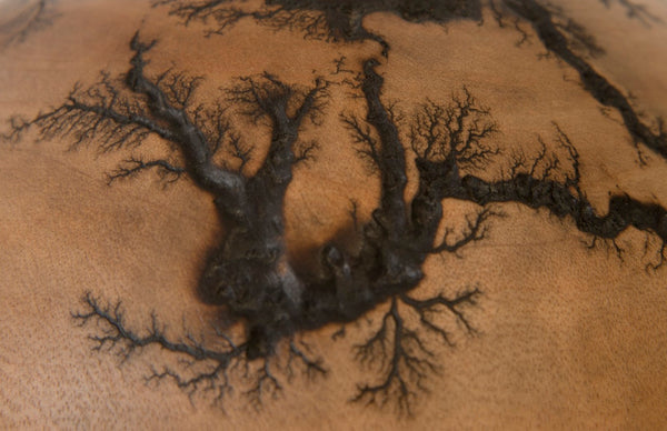 Phillips Collection Lightning Urn Vase - Stunning Artisanal Design With Unique Fractal Patterns For Modern Interiors Brown Wood ,Mango Th97707