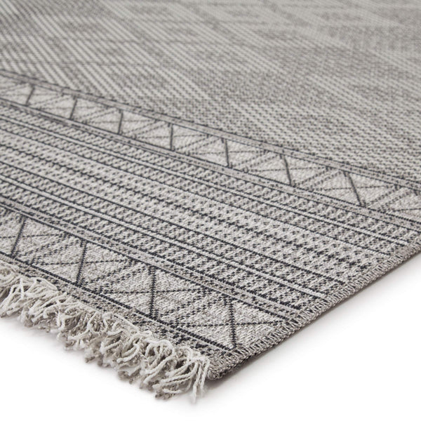 Jaipur Living Jaipur Living Ramos Flat Woven Tribal Geometric Gray Indoor Outdoor Area Rug 8'9" x 12'5" RUG146156