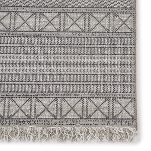 Jaipur Living Jaipur Living Ramos Flat Woven Tribal Geometric Gray Indoor Outdoor Area Rug 8'9" x 12'5" RUG146156