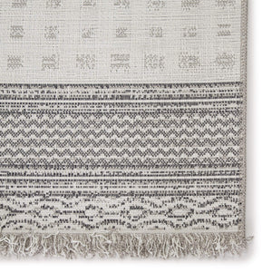 Jaipur Living Jaipur Living Marion Flatweave Tribal Bordered Polypropylene Indoor Outdoor Area Rug 4'X5'7" RUG146158