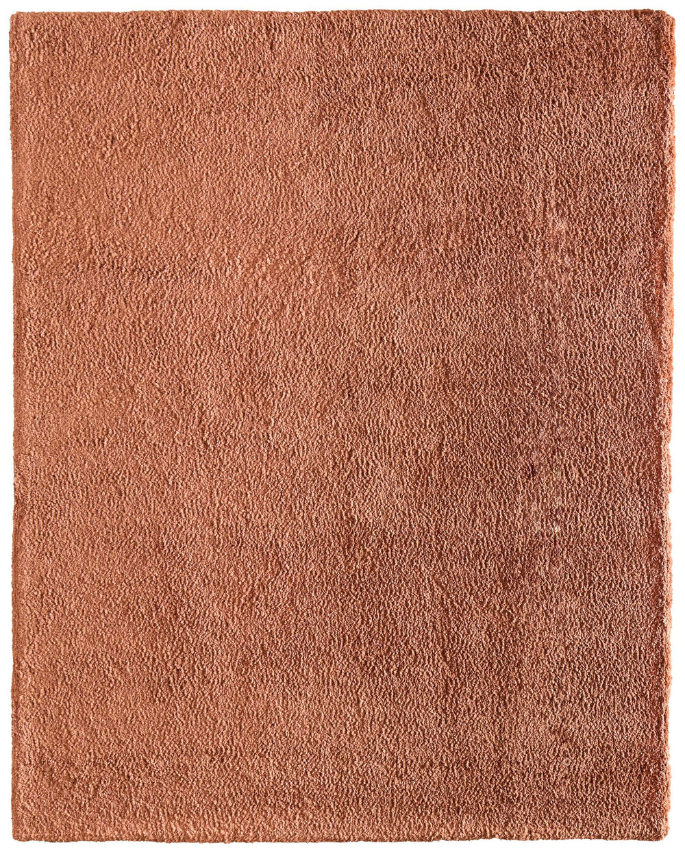 Feizy Rugs Tula Plush Shag Accent Rug Soft Polyester Pile Warm Orange Bedroom Living Room TLA8A98FBOG000C00