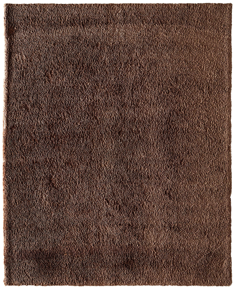 Feizy Rugs Tula Ultra Soft Shag Area Rug Plush Faux Fur Polyester Pile for Bedroom or Living Room TLA8A98FBRN000C00