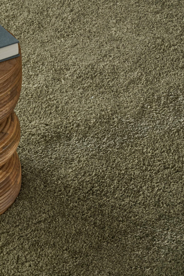 Feizy Rugs Tula Plush Shag Area Rug Soft Polyester Pile Solid Modern Accent for Living Room TLA8A98FGRN000C00