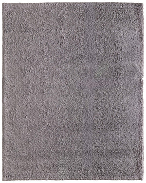 Feizy Rugs Tula Plush Shag Accent Rug Ultra Soft Polyester Pile for Modern Bedroom Decor TLA8A98FGRY000C00
