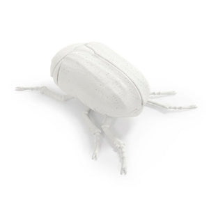 Zentique Resin Sculpted Beetle Wall Art Accent - Realistic Textured Finish, Lightweight 10x3x7" Decor TM6516262WT