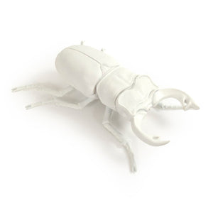 Zentique Resin Hand-Painted Beetle Wall Art Accent, Realistic Textured Resin, Ready-to-Hang 10x7in Statement Piece TM6516263WT