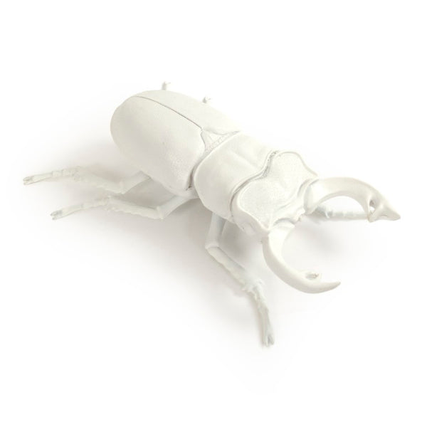 Zentique Resin Hand-Painted Beetle Wall Art Accent, Realistic Textured Resin, Ready-to-Hang 10x7in Statement Piece TM6516263WT
