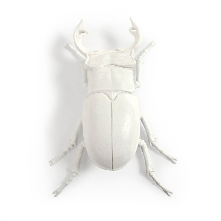 Zentique Resin Hand-Painted Beetle Wall Art Accent, Realistic Textured Resin, Ready-to-Hang 10x7in Statement Piece TM6516263WT