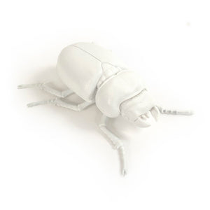 Zentique Resin Handcrafted Beetle Wall Accent, Realistic Detailing, Durable Finish, Ready-to-Hang Decor TM6516264WT
