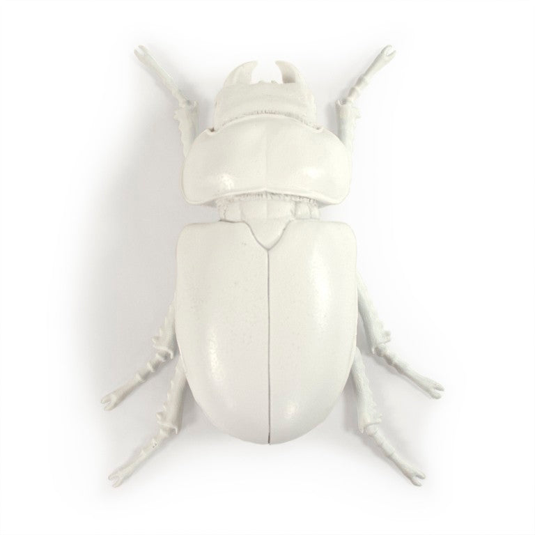 Zentique Resin Handcrafted Beetle Wall Accent, Realistic Detailing, Durable Finish, Ready-to-Hang Decor TM6516264WT
