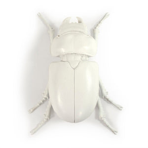 Zentique Resin Handcrafted Beetle Wall Accent, Realistic Detailing, Durable Finish, Ready-to-Hang Decor TM6516264WT