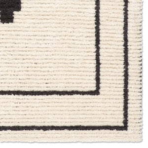 Jaipur Living Tamry Antaram Tmr01 Powerloomed Machinemade 100% Polyester Moroccan / Bohemian Tribal Indoor Rug Ivory 100% Polyester, Jute & Cotton Rug161746