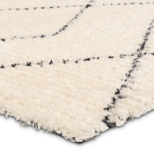Jaipur Living Tamry Leah Tmr02 Powerloomed Machinemade 100% Polyester Moroccan / Bohemian Tribal Indoor Rug Ivory 100% Polyester, Jute & Cotton Rug161750