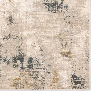 Jaipur Living Toprak Donne Top01 Powerloomed Machinemade 100% Polyester Abstract Abstract Indoor Rug Tan 100% Polyester Rug162628