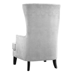 TOV Furniture Bristol Tall Wingback Chair - Luxurious Velvet Accent with Lucite Legs & Hand-Applied Nail Head Trim Silver TOV-A89