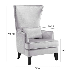 TOV Furniture Bristol Tall Wingback Chair - Luxurious Velvet Accent with Lucite Legs & Hand-Applied Nail Head Trim Silver TOV-A89