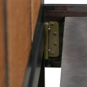 TOV Furniture Sierra Wood & Rattan Bed: Modern-Boho Elegance with Handwoven Cane and Brass Accents for Your Bedroom Black / Queen TOV-B44101