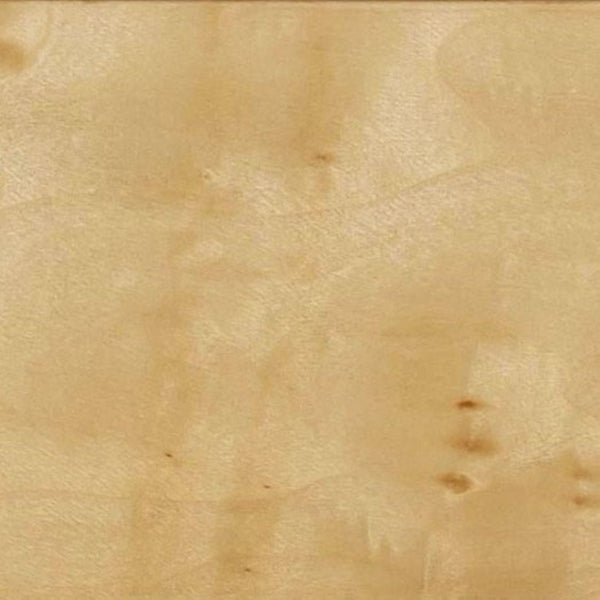 TOV Furniture Brandyss 26" Burl 2-Drawer Nightstand - Elegant Storage Solution with Rustic Brass Accents for Bedrooms Natural TOV-B54189