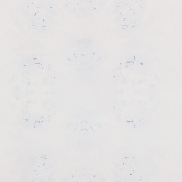 TOV Furniture Brandyss 26" Burl 2-Drawer Nightstand - Elegant Storage Solution with Rustic Brass Accents for Bedrooms White TOV-B54190