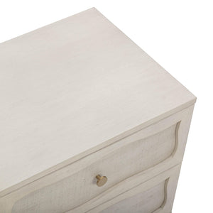 TOV Furniture Grappa 22" Coastal Boho Nightstand with 2 Soft-Close Drawers and Natural Raffia Accents for Storage TOV-B54520