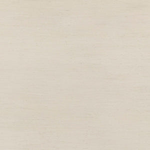 TOV Furniture Grappa 22" Coastal Boho Nightstand with 2 Soft-Close Drawers and Natural Raffia Accents for Storage TOV-B54520