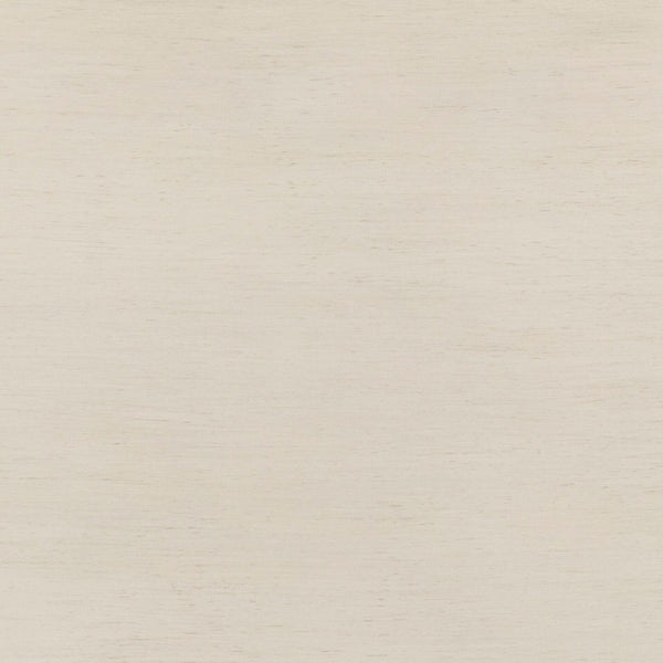 TOV Furniture Grappa 22" Coastal Boho Nightstand with 2 Soft-Close Drawers and Natural Raffia Accents for Storage TOV-B54520