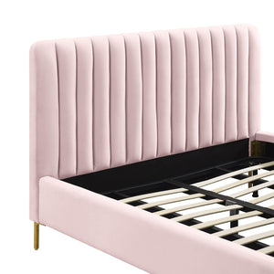 TOV Furniture Angela Velvet Bed – Luxurious Upholstered Centerpiece with Channel Tufting and Gold Legs for Glam Style Blush / Queen TOV-B6373