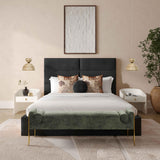 Eliana Black Velvet Queen Bed TOV-B68729 TOV Furniture