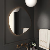 Phoebe LED Wall Mirror TOV-C68793 TOV Furniture