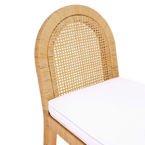 TOV Furniture Amara Arched Back Rattan Dining Chair with Durable Performance Fabric & Brass Accents for Style TOV-D21026