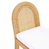 Amara Natural Rattan and Performance Fabric Arched Back Dining Chair TOV-D21026 TOV Furniture