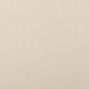 TOV Furniture Carnation Cream Vegan Leather Dining Chair - Modern Mid-Century Design, Durable & Stylish Comfort TOV-D54579