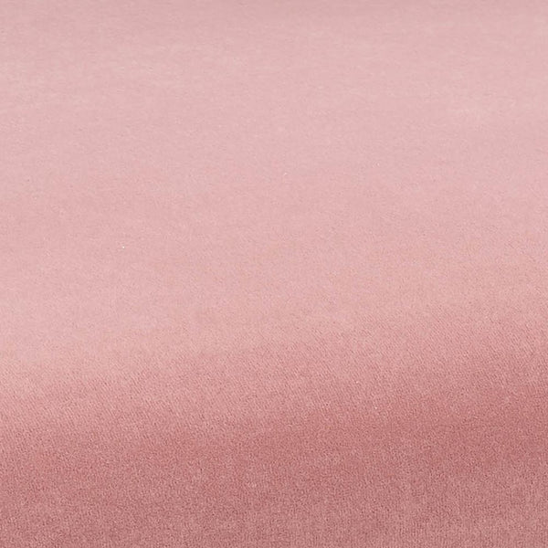 TOV Furniture Kim Velvet Dining Chair - Elegant, Stain-Resistant Design for Modern Dining Spaces and Gatherings Blush TOV-D6432