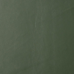 TOV Furniture Astro Stool - Elegant Vegan Leather Adjustable Bar Seating with Plush Cushion and Gold Accents Green TOV-D68296