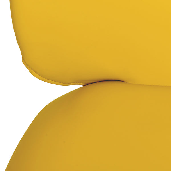 Lauren Yellow Vegan Leather Kitchen Chairs - Set of 2 TOV-D68696 TOV Furniture