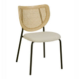 Nessie Natural Rattan Dining Chair - Set of 2 TOV-D68874 TOV Furniture