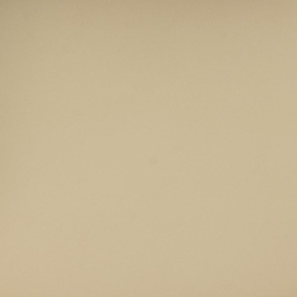 TOV Furniture Betsy Taupe Vegan Leather Dining Chair - Modern Comfort Meets Timeless Design with Walnut Frame TOV-D69046