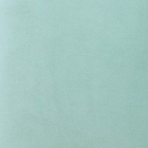 TOV Furniture Rebecca Performance Velvet Dining Chair - Elegant Comfort with Durable Design for Any Dining Space Light Blue TOV-D69080