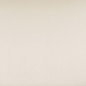 TOV Furniture Calla Performance Velvet Counter Stool - Elegant Design with Plush Seating for Stylish Comfort Cream TOV-D69104