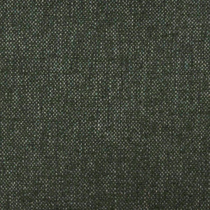 TOV Furniture Tiara Performance Basketweave Dining Chair - Elegant Comfort, Durable Design for Modern Interiors Green TOV-D69245