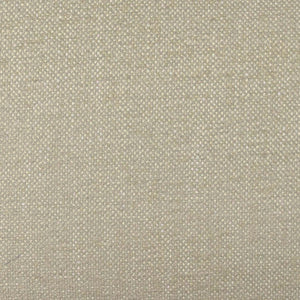 TOV Furniture Tiara Performance Basketweave Dining Chair - Elegant Comfort, Durable Design for Modern Interiors Cream TOV-D69246