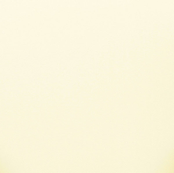 TOV Furniture Sezanne Vegan Leather Dining Chair – Stylish Two-Tone Design with Durable Comfort for Modern Spaces Cream TOV-D69335