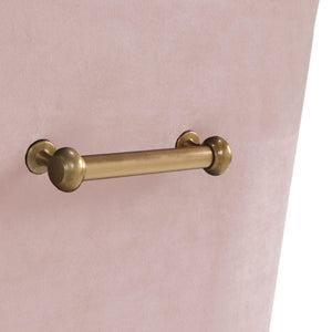 TOV Furniture Beatrix Velvet Side Chair - Chic Comfort with Gold Accents for Dining Rooms, Living Spaces & More Blush TOV-D7222