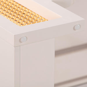 TOV Furniture Suzie 62" Art Moderne Rattan Executive Desk with Soft-Close Drawer for Stylish Workspace Solutions Cream TOV-H44180