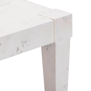 TOV Furniture Brandyss 48" Burl Work Desk with 2 Soft-Close Drawers for Modern Home Office and Studio Spaces White TOV-H54194