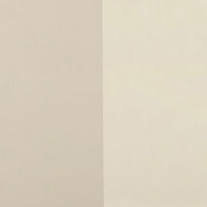 TOV Furniture Alfalfa 52" Desk with Soft-Closing Drawers - Sleek Workstation for Home Office and Compact Spaces Taupe TOV-H54438