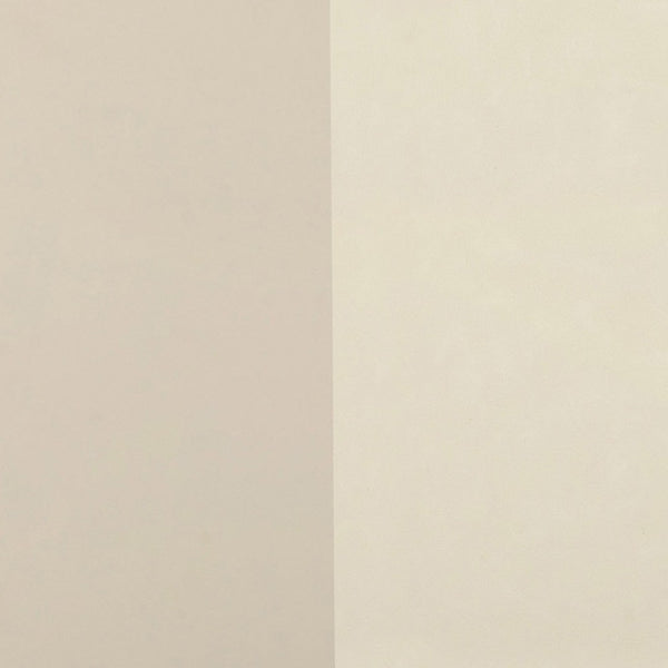 TOV Furniture Alfalfa 52" Desk with Soft-Closing Drawers - Sleek Workstation for Home Office and Compact Spaces Taupe TOV-H54438